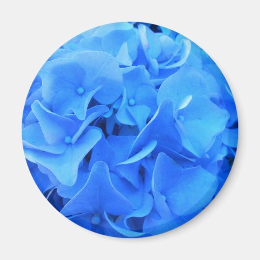 セラフィン マグネット (正面)