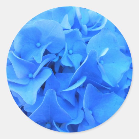 セラフィン ラウンドシール (正面)