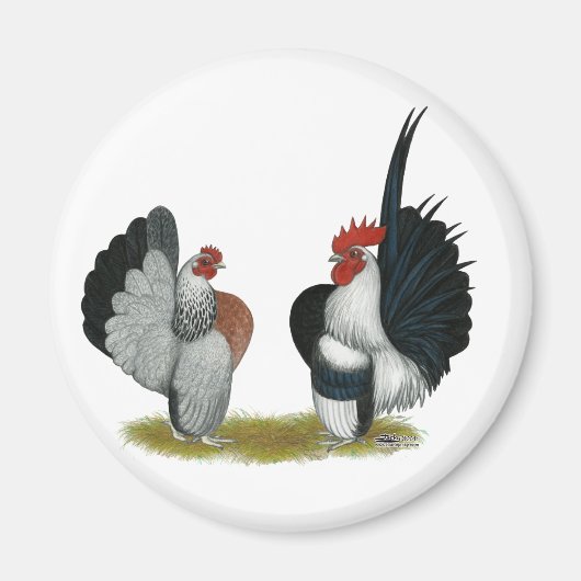 セラマバンタムス マグネット (正面)