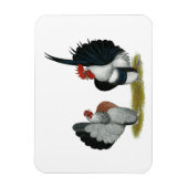 セラマバンタムス マグネット (縦)