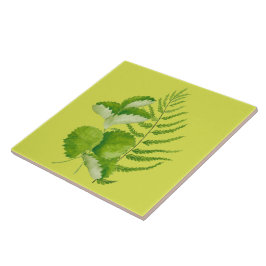 セラミックのタイルの緑の型枠 タイル