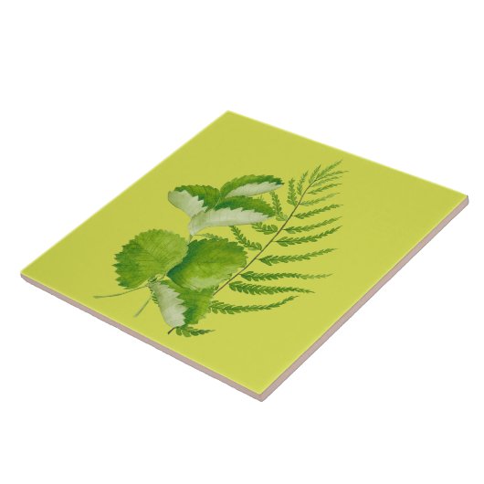 セラミックのタイルの緑の型枠 タイル (側面)