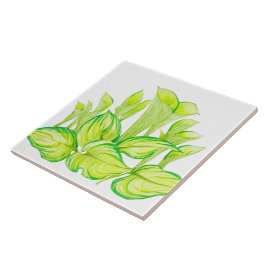 セラミックのタイルの'調和の緑' タイル