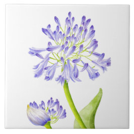 セラミックのタイル上のナイルのユリ タイル