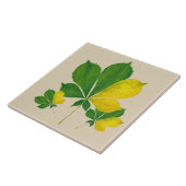 セラミックのタイル(I)の'Rand de Basanti' タイル (側面)