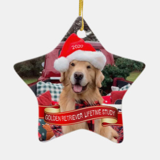 セラミックオーナメント