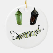 セラミッククリスマスオーナメント(昆虫)オオカバマダラ、モナークのライフサイクル セラミックオーナメント (裏面)