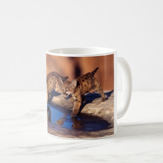 セラミックコーヒーマグ – クーガーのカップ コーヒーマグカップ (正面右)