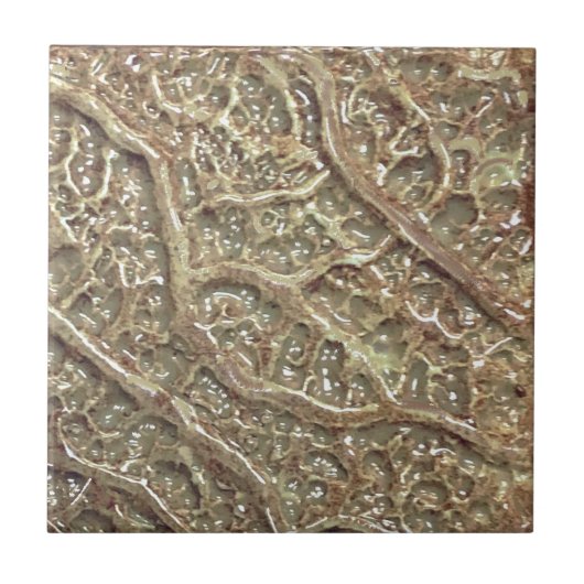 セラミックタイルのテクスチャ付きルーペ タイル (正面)