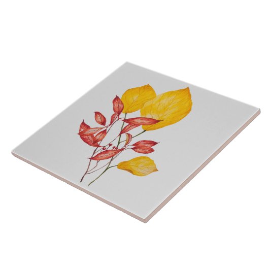 セラミックタイルの上のチリとターメリック タイル (側面)