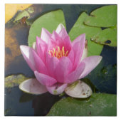 セラミックタイルの上のピンクのスイレンの終わり タイル (正面)