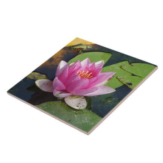 セラミックタイルの上のピンクのスイレンの終わり タイル (側面)