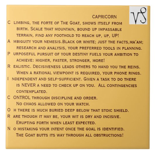 セラミックタイルの山羊座の詩 タイル (正面)