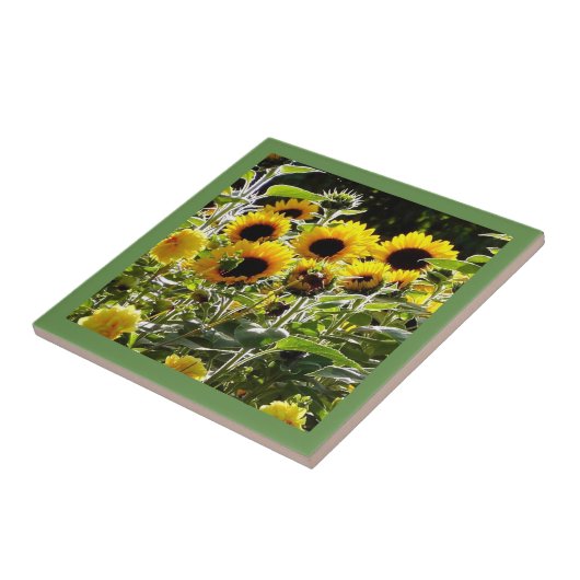 セラミックタイルはコースターまたはスプーンの残りとして使用することができます タイル (側面)