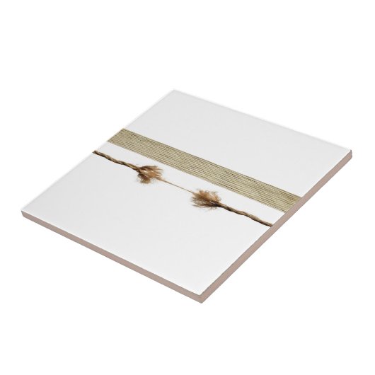 セラミックタイルホワイトロープナチュラル タイル (側面)