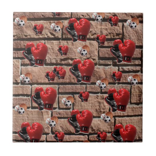 セラミックタイルボクシング手袋 タイル (正面)