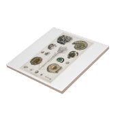 セラミックタイルヴィンテージ「化石」オリバーゴールドスミス タイル (側面)