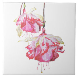 セラミックタイル上のエキゾチックな明るい赤紫色 タイル