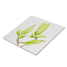 セラミックタイル上の黄色いマグノリア(2W) タイル