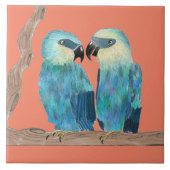 セラミックタイル上のSpix's Macaws - (O) タイル (正面)