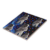 セラミックタイル宇宙飛行士 タイル (側面)