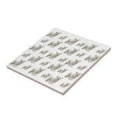 セラミックタイル白色極性熊 タイル (側面)