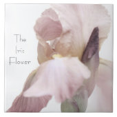 セラミックタイル虹彩花ピンク/紫 タイル (正面)