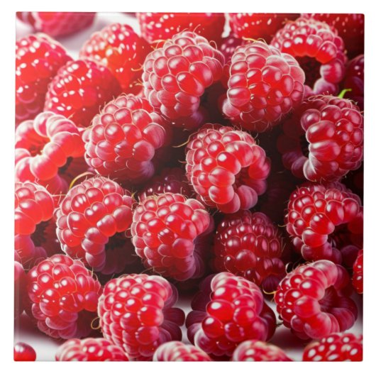 セラミックタイル (正面)