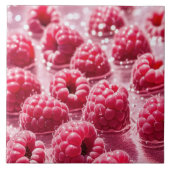 セラミックタイル (正面)