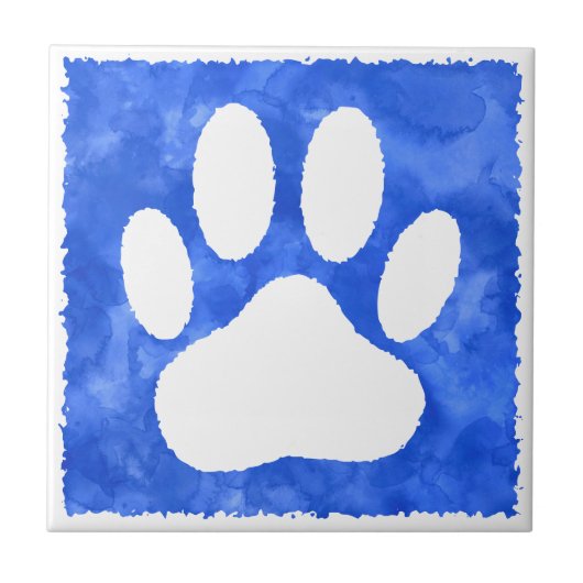 セラミックタイル (正面)