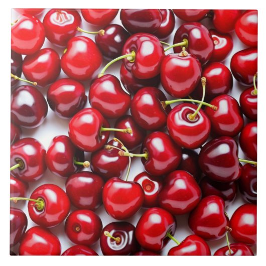 セラミックタイル (正面)