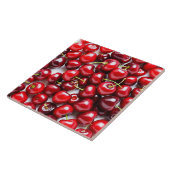 セラミックタイル (側面)