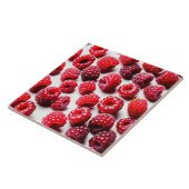 セラミックタイル (側面)