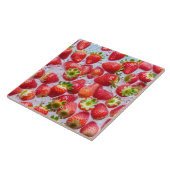 セラミックタイル (側面)