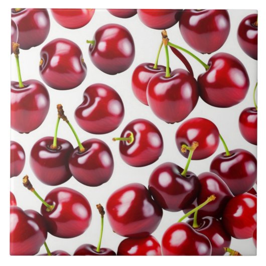 セラミックタイル (正面)