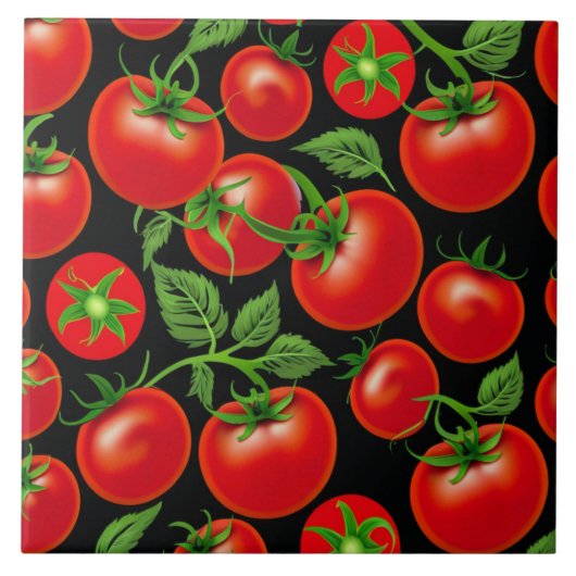 セラミックタイル (正面)