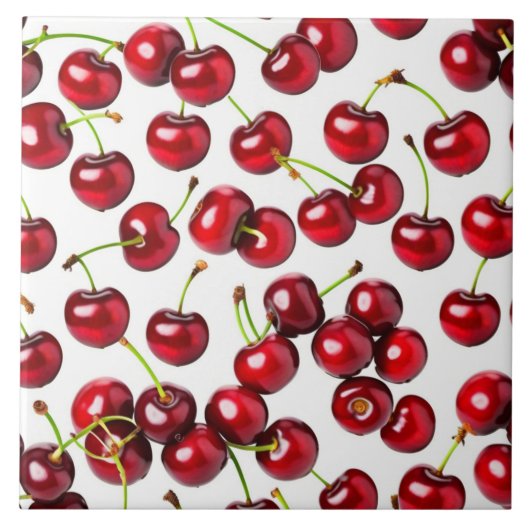 セラミックタイル (正面)