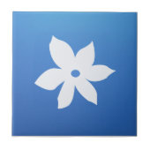 セラミックタイル (正面)