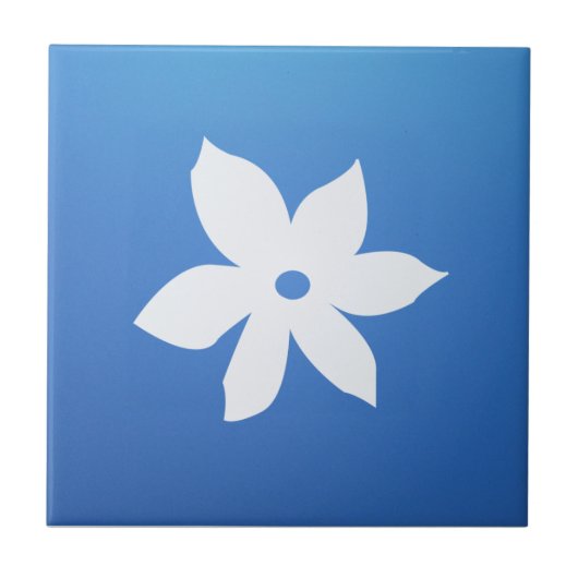 セラミックタイル (正面)