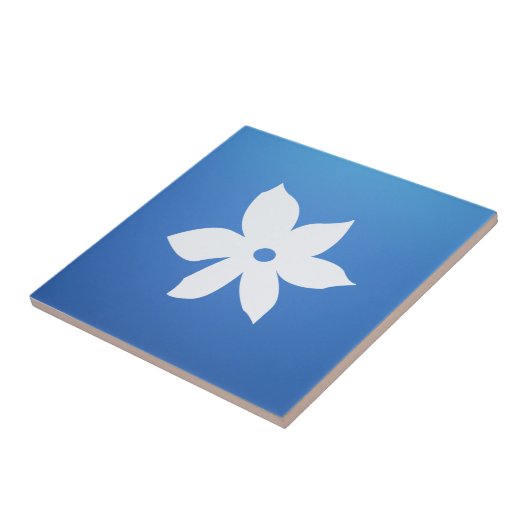 セラミックタイル (側面)