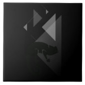 セラミックタイル (正面)