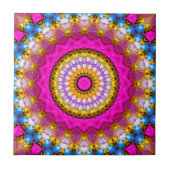 セラミックタイル (正面)