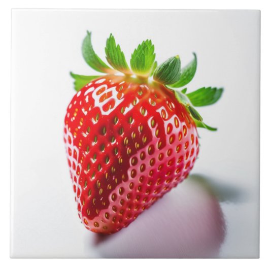 セラミックタイル (正面)