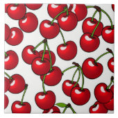 セラミックタイル (正面)