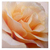 セラミックタイル (正面)