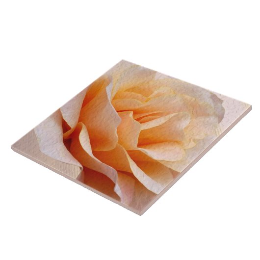 セラミックタイル (側面)