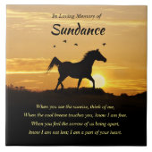 セラミックタイル (正面)