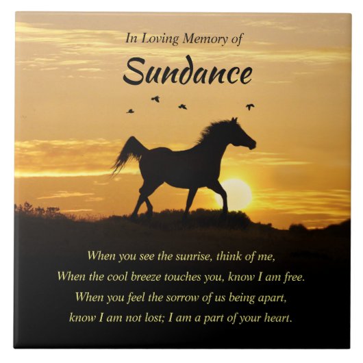 セラミックタイル (正面)