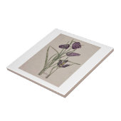 セラミックタイル：チャールズ・レニー・マッキントッシュ： 1915 タイル (側面)