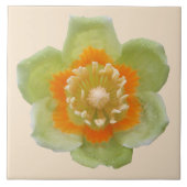 セラミックタイル – チューリップポプラートゥリップオンクリーム (正面)